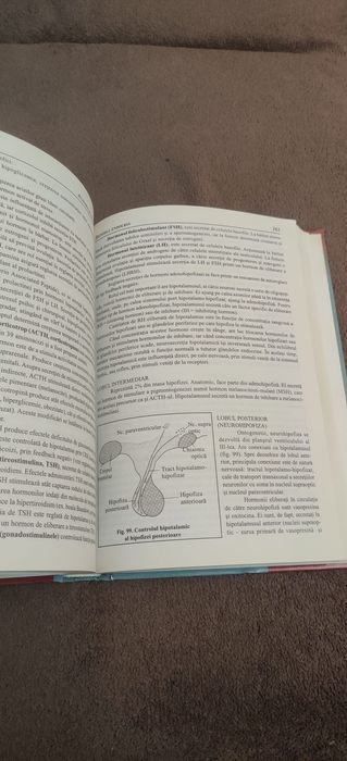 ANATOMIA SI FIZIOLOGIA OMULUI COMPENDIU (editura Corint)