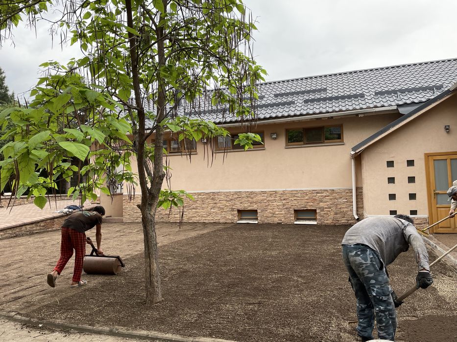 Автополив и газон