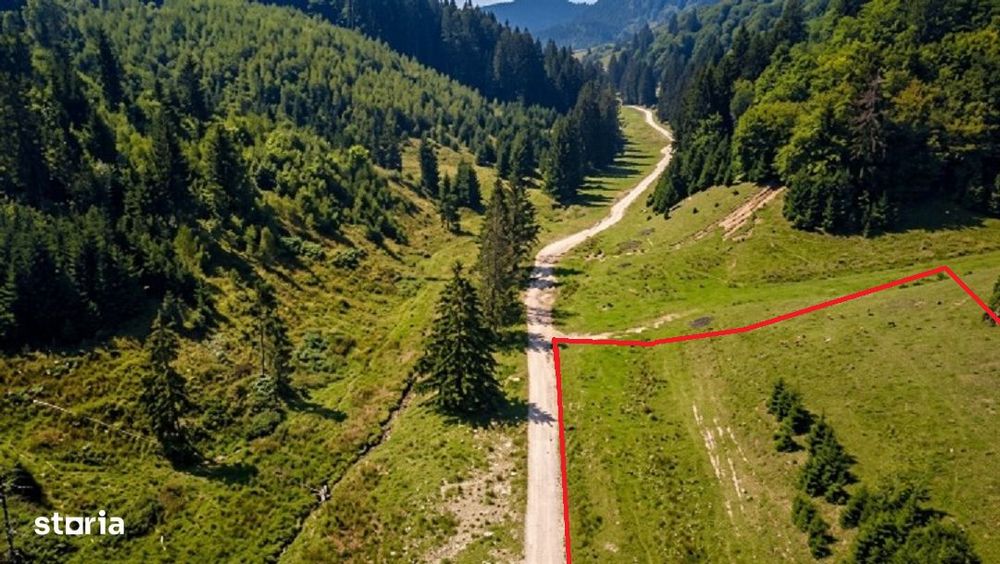 Poiana Brașov, Teren intravilan 2.763 mp , utilitati, Str. Stânii,
