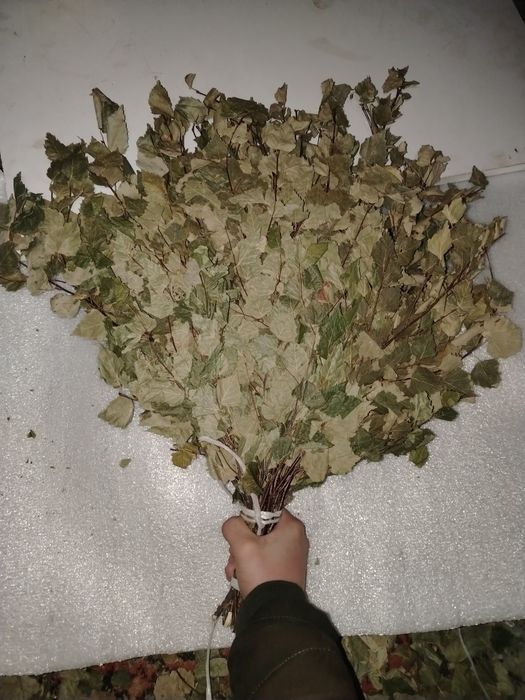 Продам берёзовые банные веники