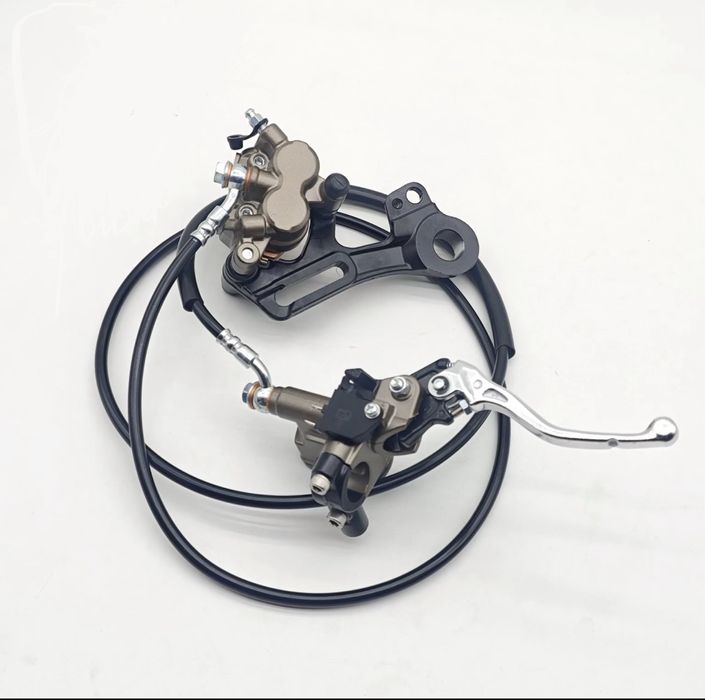 Frana Ultra Bee [Rear]