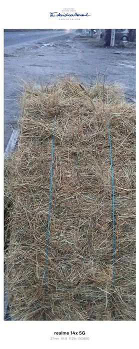 Vând baloți de fan