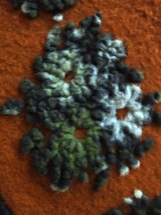 Vesta eleganta, deosebita,pelerina
