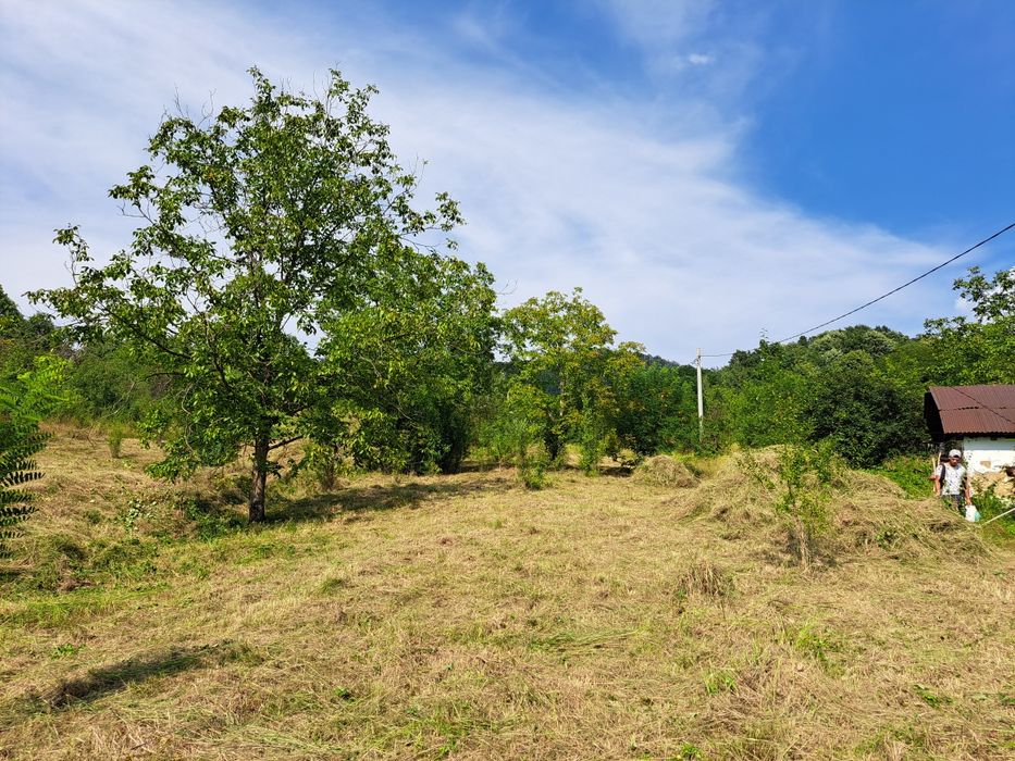 Teren 6 ari,12 sau 18ari,intrare pe Valea Borcutului pt 2 blocuri/case