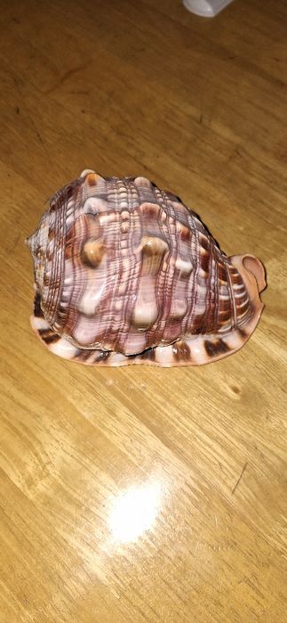 Стеклянные шары и статуэтки. Оникс.