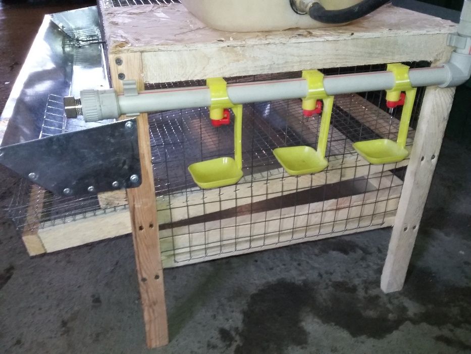 клетки для перепелов на 1 ярус