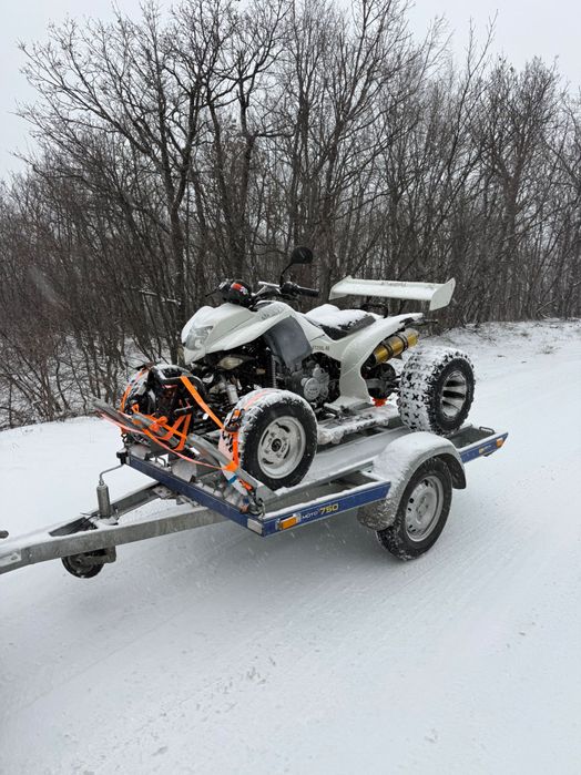 АТВ 250 mc motors