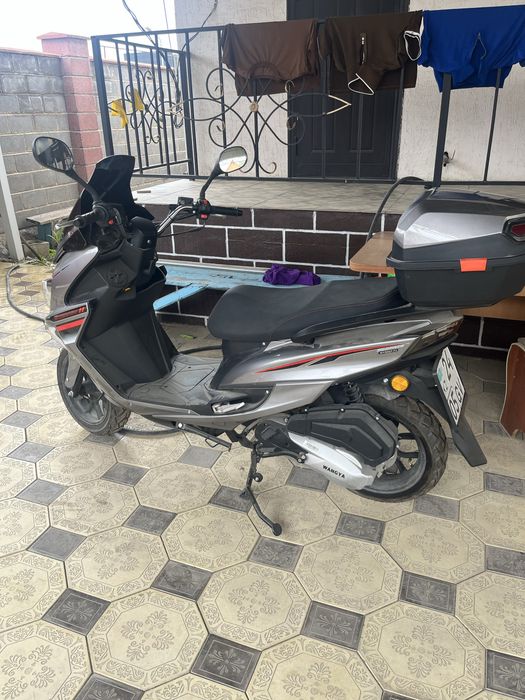 Мопед макси новый