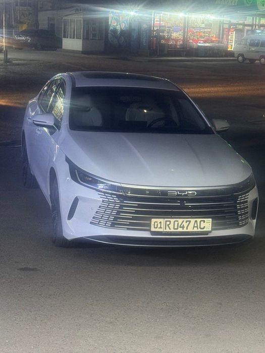 BYD  Chazor ……….