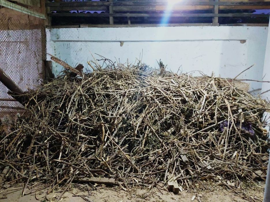 Құрғақ отын сатылады. Жетісайда тұр