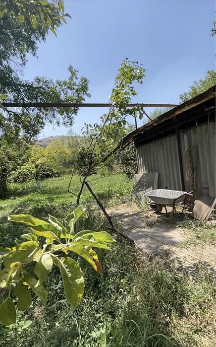 Дача, земля Дала ховли.