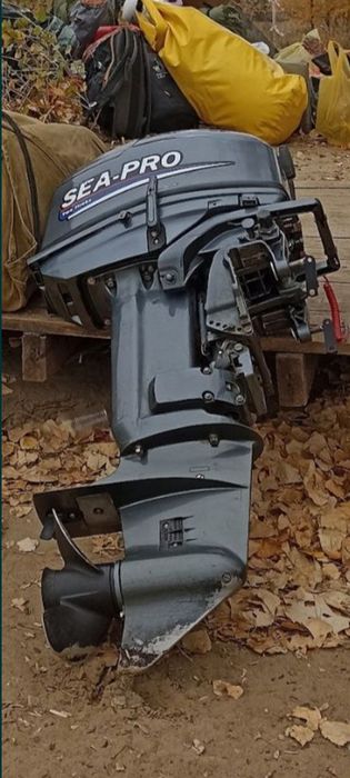 Подвесной лодочный мотор Sea Pro t30