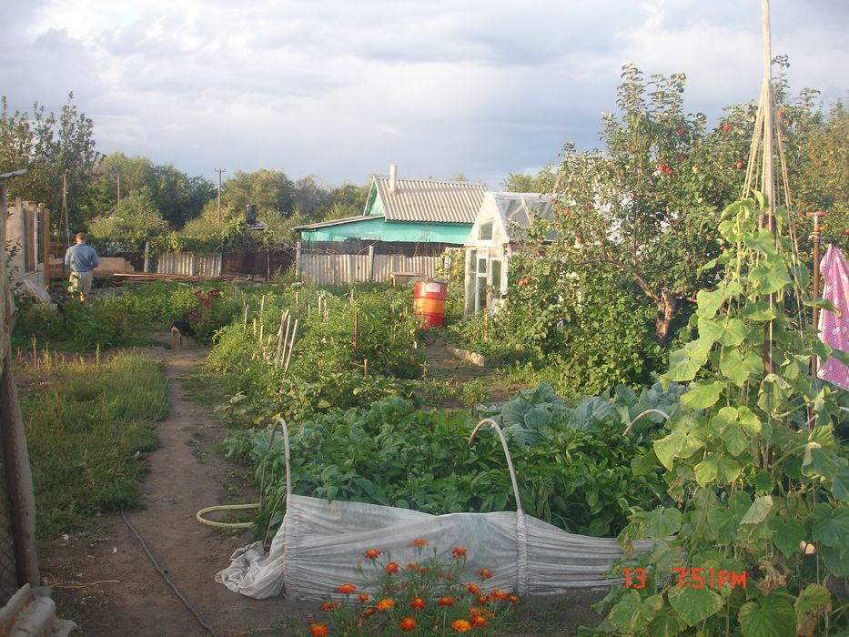 Две  дачи Чапаева