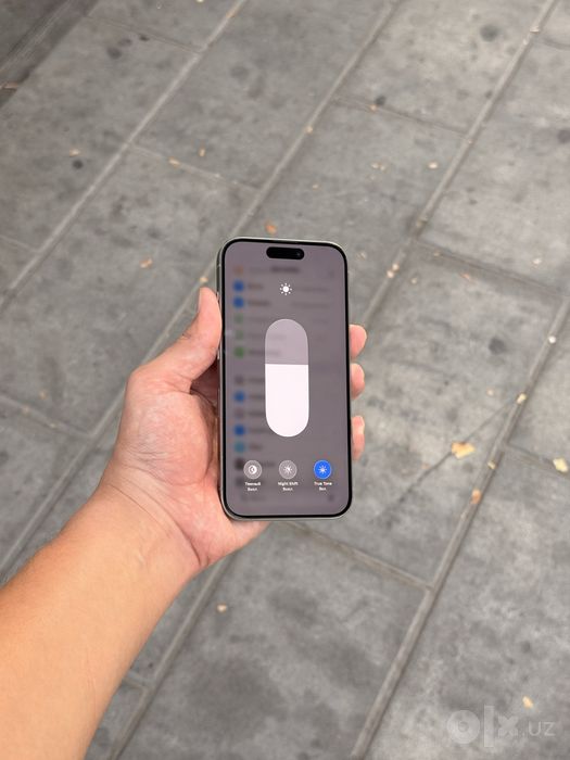 iPhone 15 Pro Natural Titanium 256gb/79%
