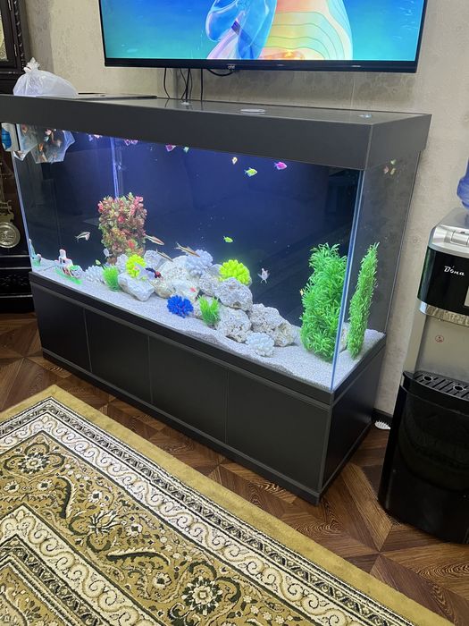 Akvarium tozalash xizmati | Чистка аквариума