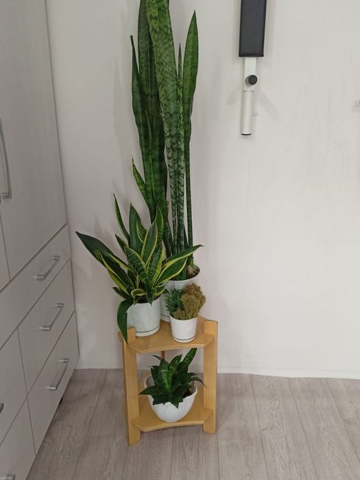 Подставки для цветов