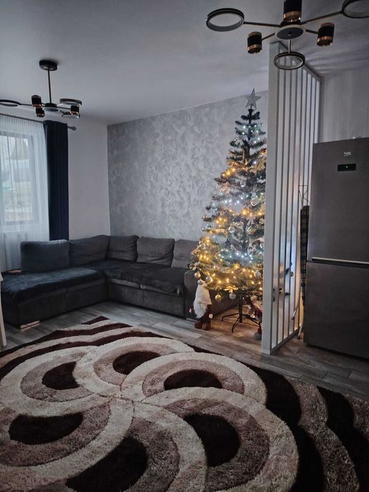 Vand casa cu teren in Radaseni pretabila pentru spatiu comercial/depozit/service/sera/livada