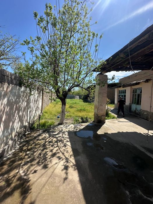 Hovli sotiladi sirgali tuman