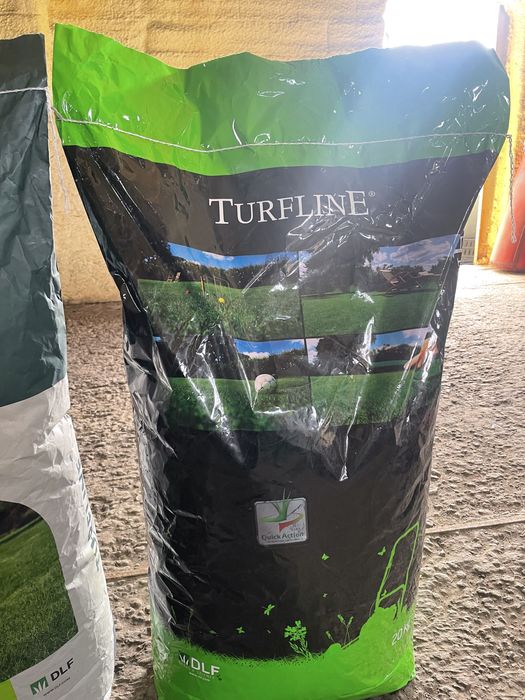 Газон, семена спортивного газона