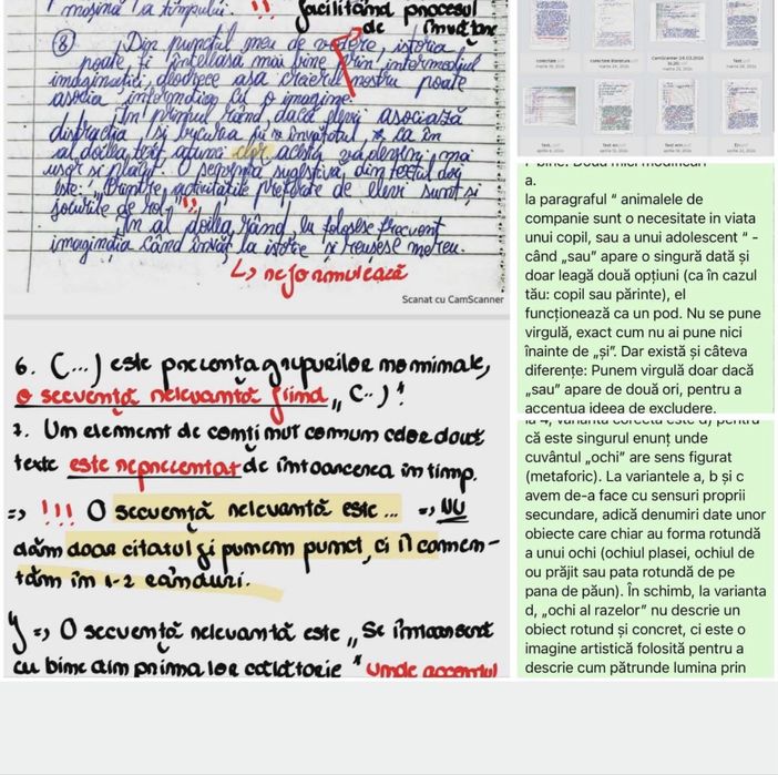 PREGĂTIRE/ MEDITAȚII Limba şi Literatura Română ( E.N. + BAC + admitere/militar/DREPT ]