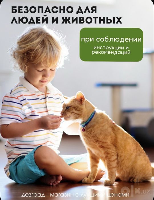 Средство от клопов без закаха