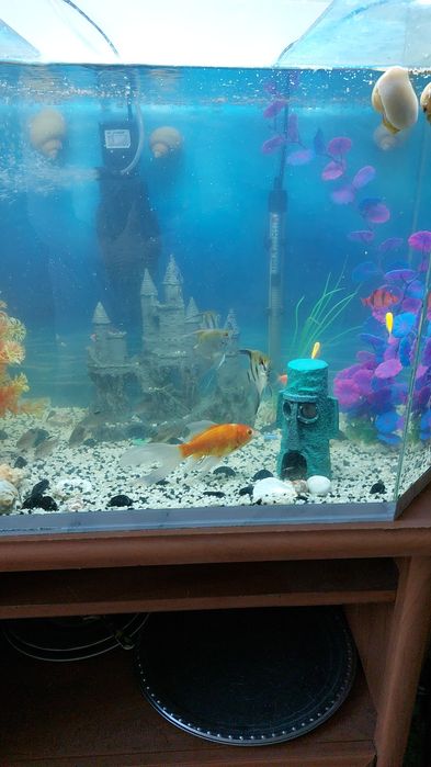 Продам аквариум 120л.