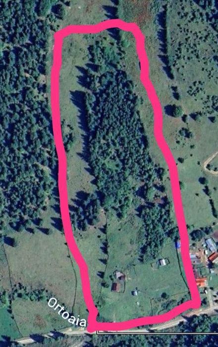DIRECT PROPRIETAR Atractiv pentru pensiune/casă de vacanță): Teren de Poveste la Munte – 6.000 mp Intravilan + 6.000 mp Extravilan,Dorna Arini-Ortoaia