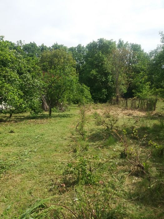 Casă și teren 1324m, Bolintin Deal,pe șoseaua principală  lângă pădure