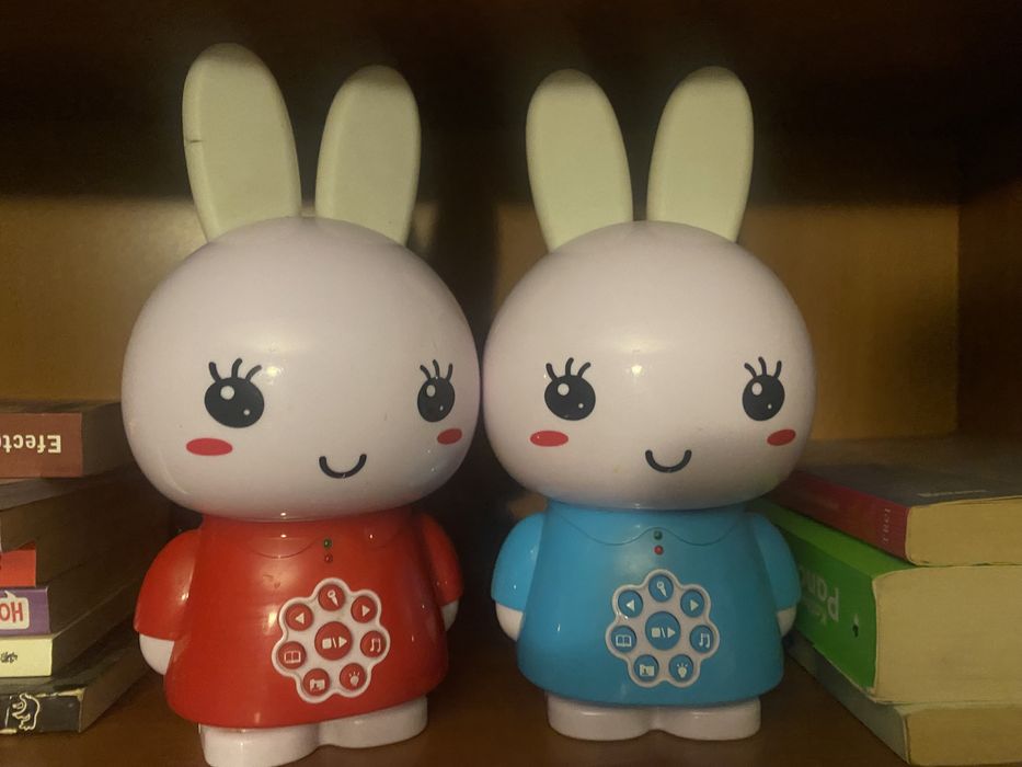 Alilo bunny- germana si engleza