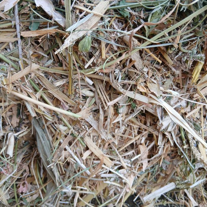 Беда+ловия+маккайи аралашмали праес сотилади.