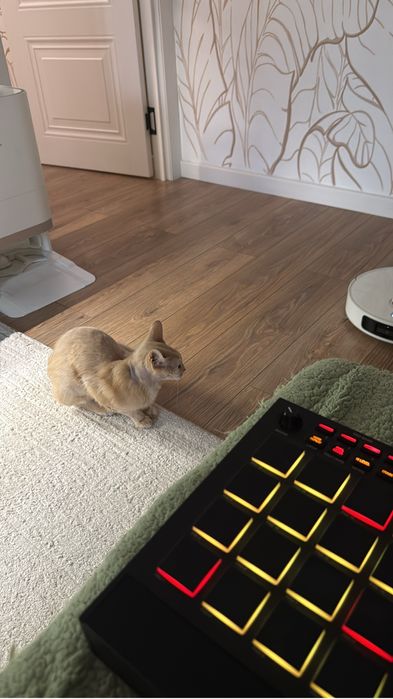 Akai mpc live 2 бу