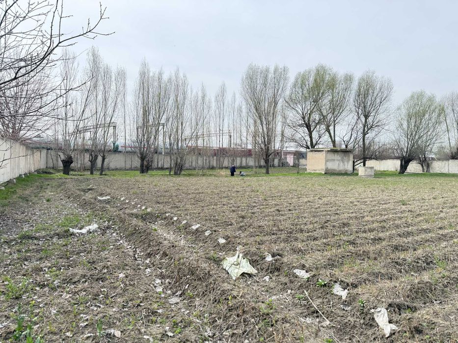 Yer oling — foyda qiling!