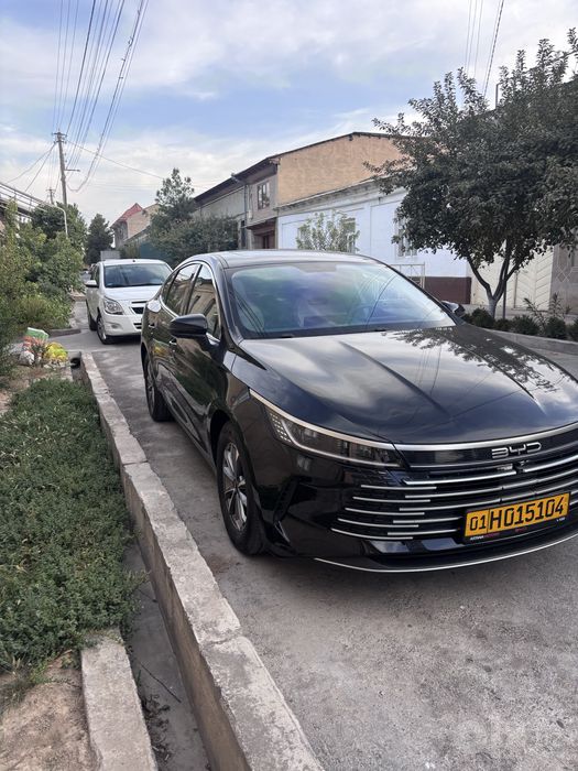 Byd chazor 2026 55 tali