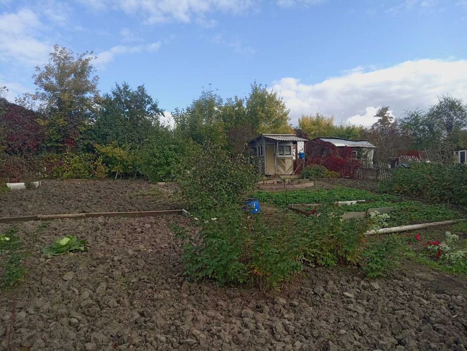 Продам дачный участок