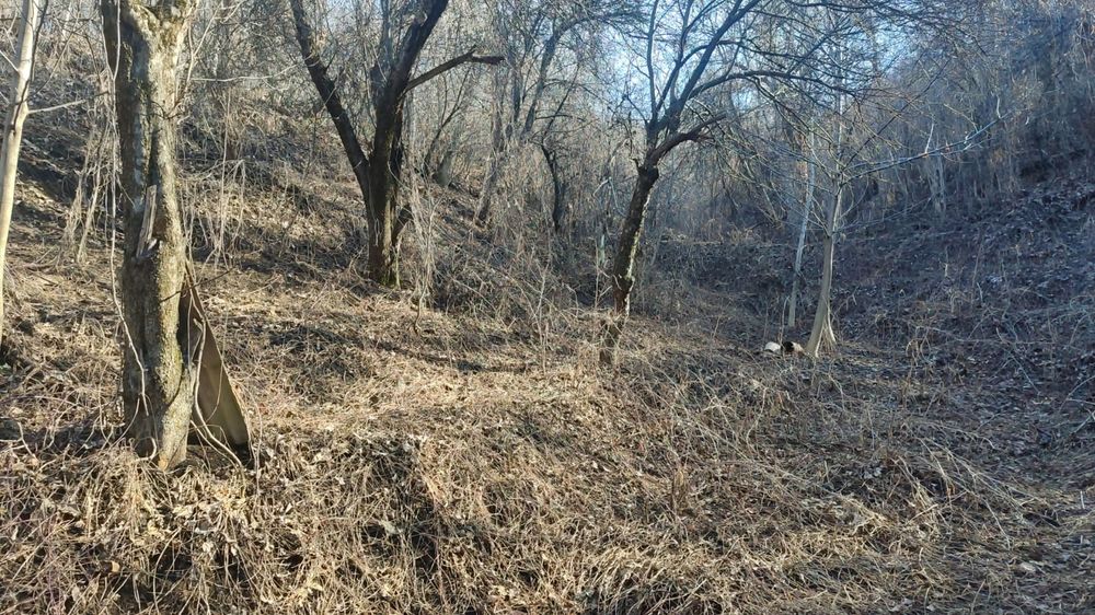 Продам дачу в кенсай