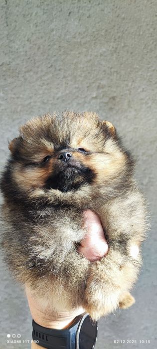 Момчета и момичета