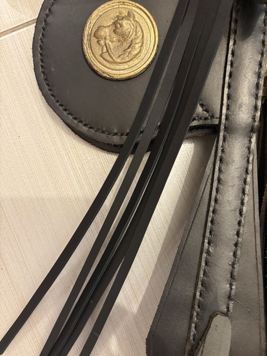 Hamuri cai. Capastru cal