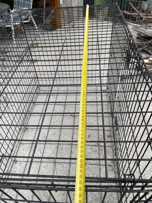 Cusca metalica (caini)animale