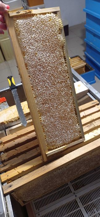 Продавам натурален пчелен мед в тенекия.