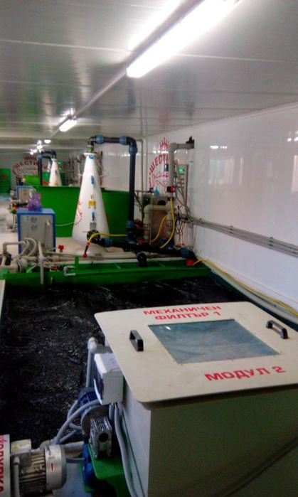 Заробител Есетра