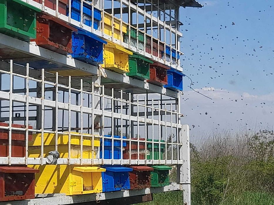 Rastel din fier pentru albine