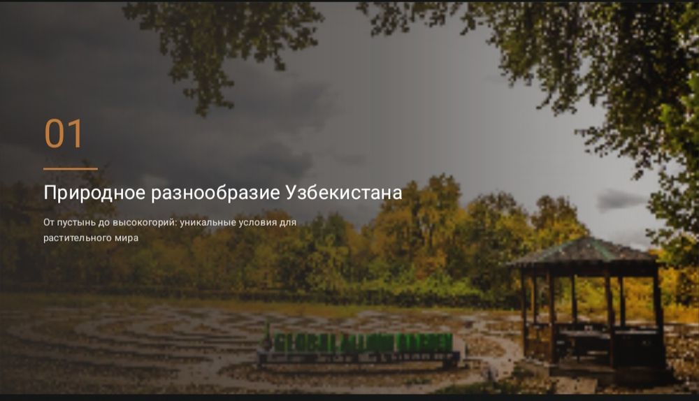 《Презентация》canva, PowerPoint а также word варианты
