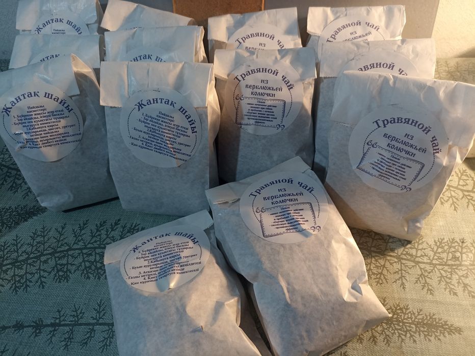 Верблюжья колючка. (Жантақ)