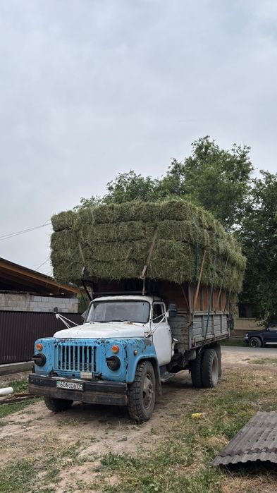 Жоңышқа сатылады
