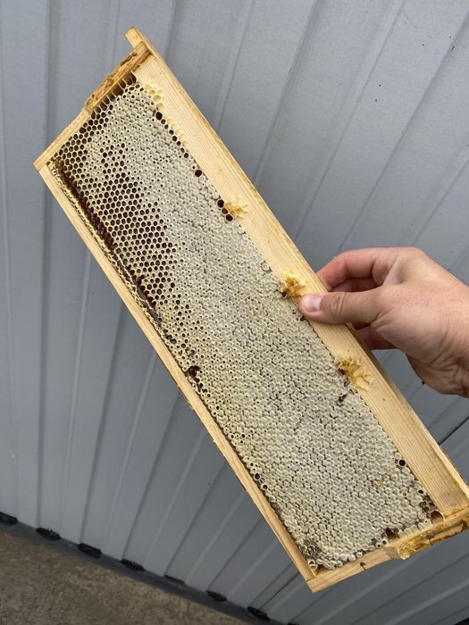 Мёд сотовый 7000 за рамку