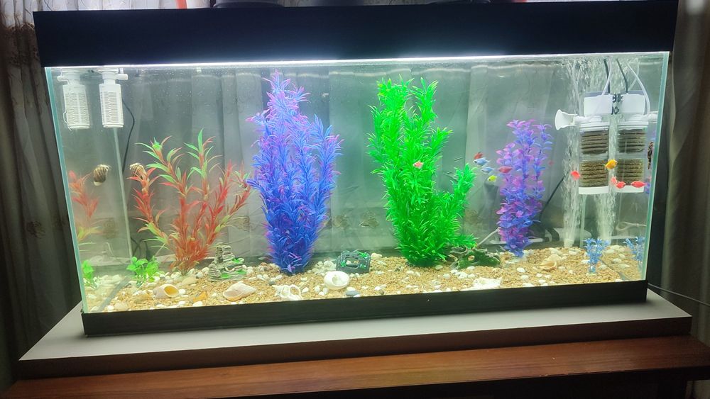 Продам большой аквариум с рыбками