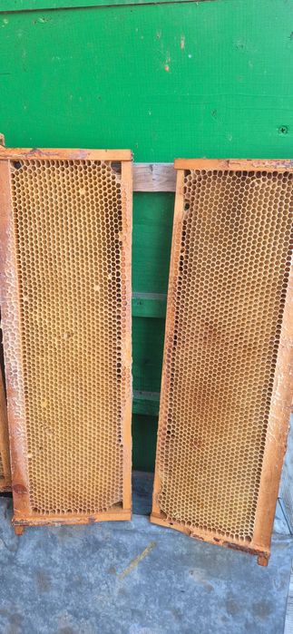 Caturi cu rame de1/2 crescute pentru stupi de 12 rame