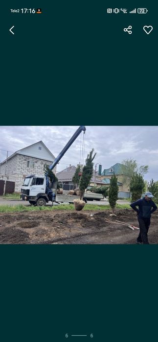 Не дорого услуги манипулятора