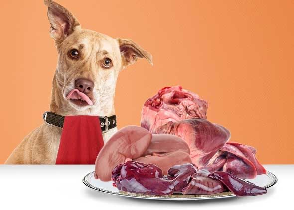 Свежен мясо для собак