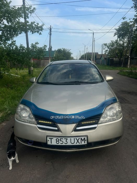 продам nissan primera p12